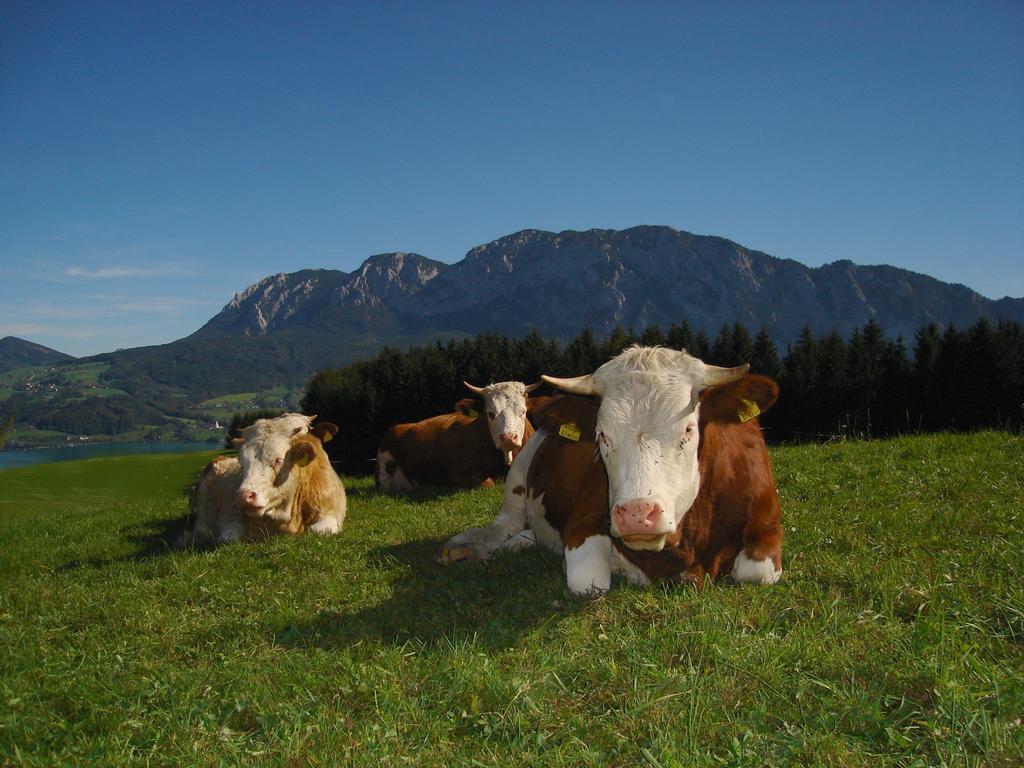 Ferienhof Margarethengut Unterach am Attersee Eksteriør billede